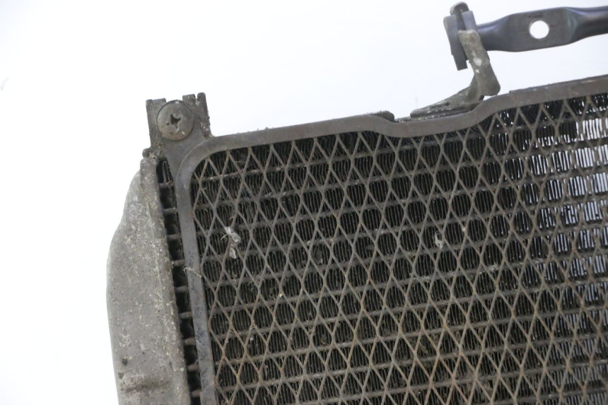 photo de RADIATORE SUZUKI BURGMAN EXECUTIVE ABS 650 (2006 - 2012) - Dettaglio del componente