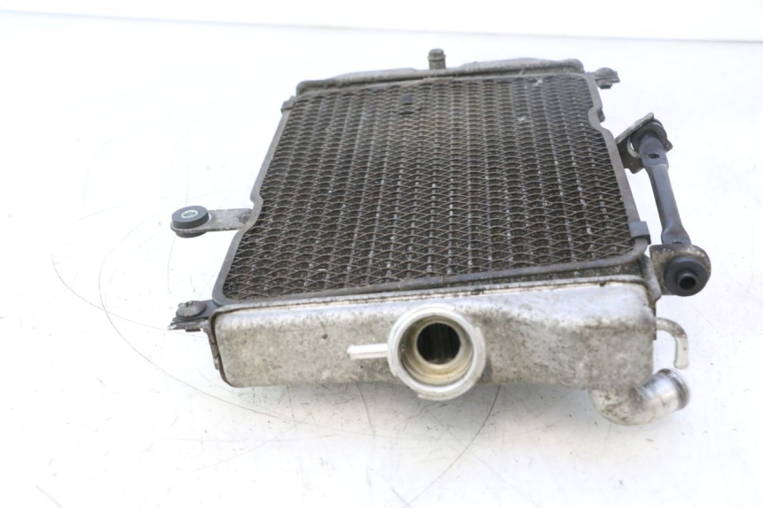 photo de RADIATORE SUZUKI BURGMAN EXECUTIVE ABS 650 (2006 - 2012) - Altra vista dell'articolo
