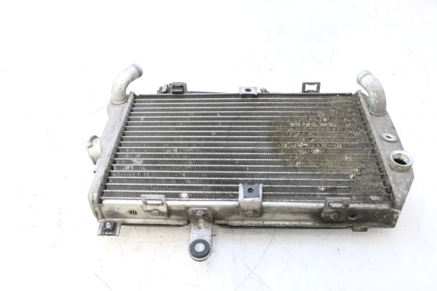 photo de RADIATORE SUZUKI BURGMAN EXECUTIVE ABS 650 (2006 - 2012) - Caratteristiche distintive