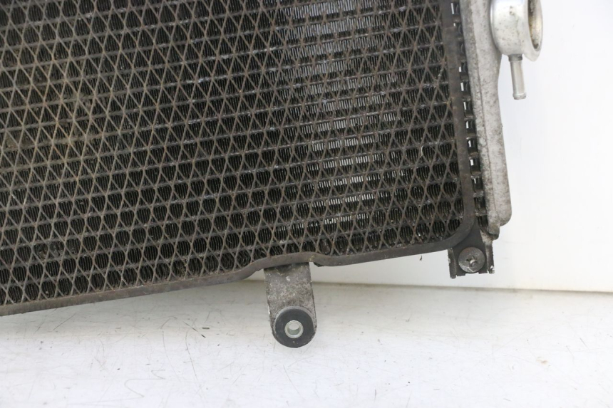 photo de RADIATORE SUZUKI BURGMAN EXECUTIVE ABS 650 (2006 - 2012) - Altra angolazione