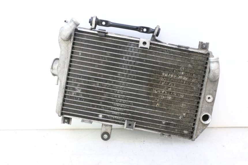 photo de RADIATORE SUZUKI BURGMAN EXECUTIVE ABS 650 (2006 - 2012) - Vista d'insieme del prodotto