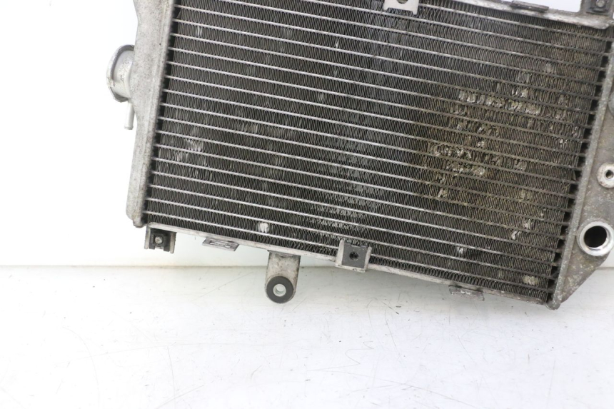 photo de RADIATORE SUZUKI BURGMAN EXECUTIVE ABS 650 (2006 - 2012) - Ricambio usato controllato