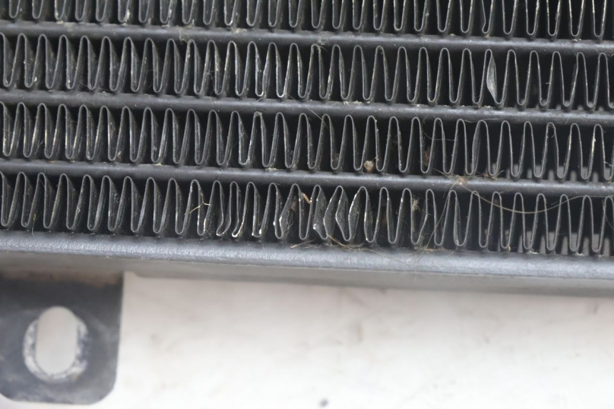 photo de RADIATORE BMW C1 125 (2000 - 2003) - Dettaglio del componente
