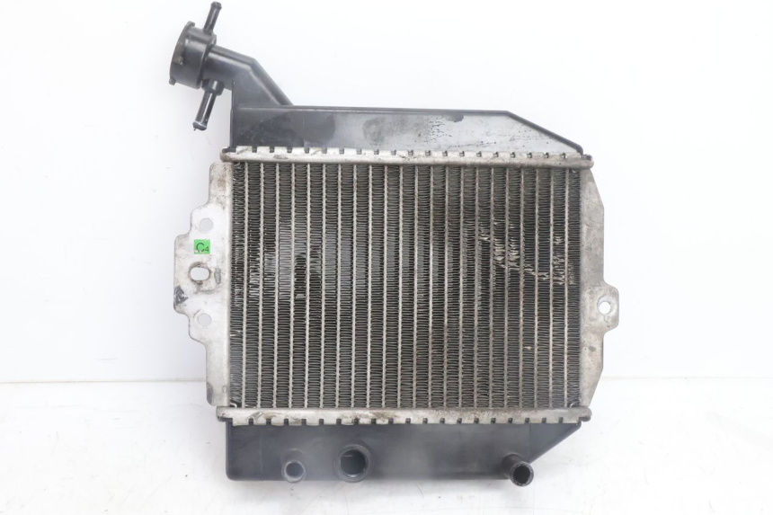 photo de RADIATORE PEUGEOT CITYSTAR 125 (2011 - 2017) - Dettaglio del componente