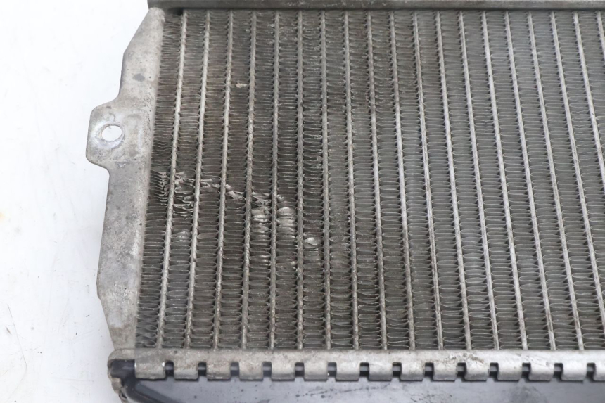 photo de RADIATORE PEUGEOT CITYSTAR 125 (2011 - 2017) - Zoom sullo stato d'uso