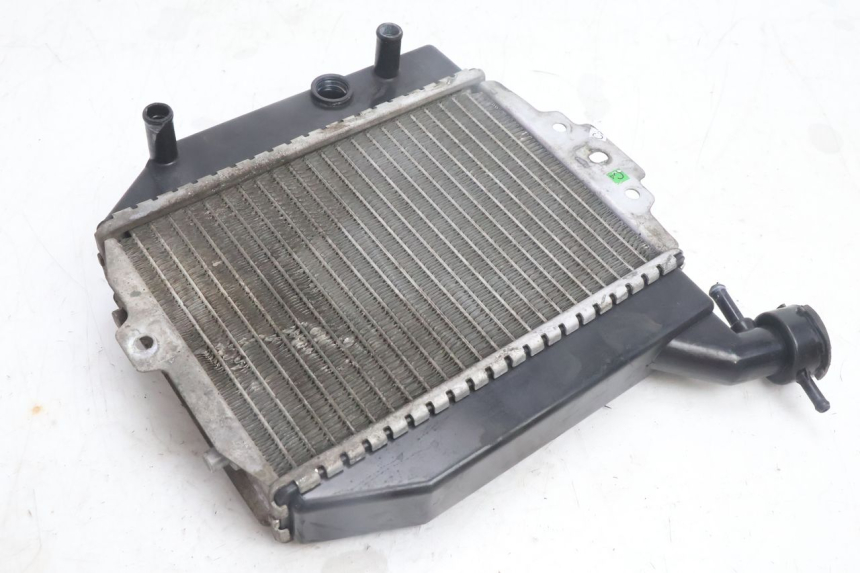 photo de RADIATORE PEUGEOT CITYSTAR 125 (2011 - 2017) - Primo piano tecnico