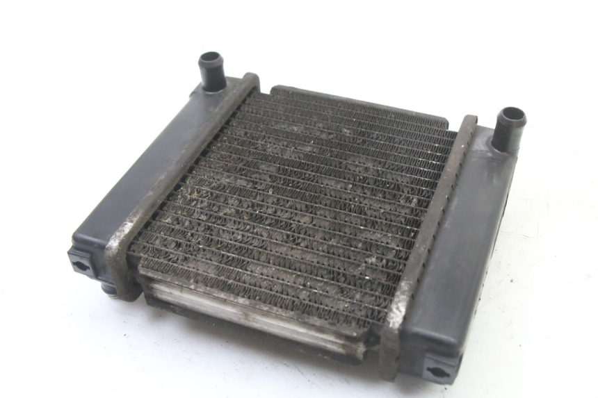 photo de RADIATORE KYMCO DINK STREET 125 (2009 - 2014) - Primo piano tecnico