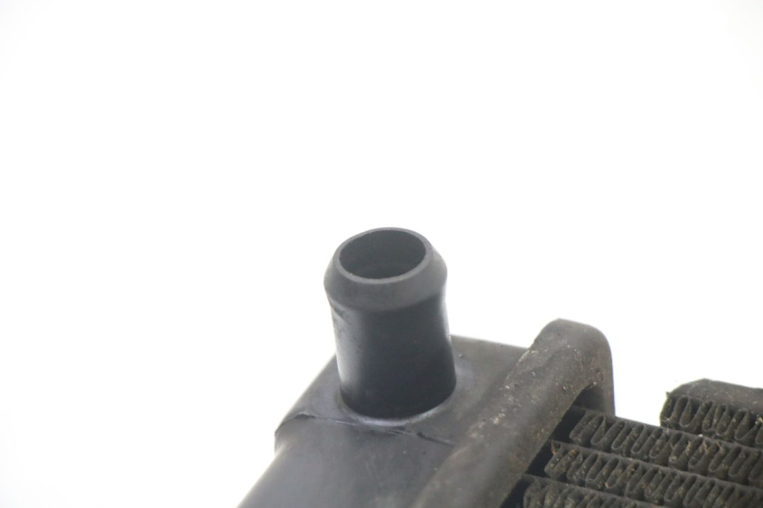 photo de RADIATORE KYMCO DINK STREET 125 (2009 - 2014) - Vista d'insieme del prodotto