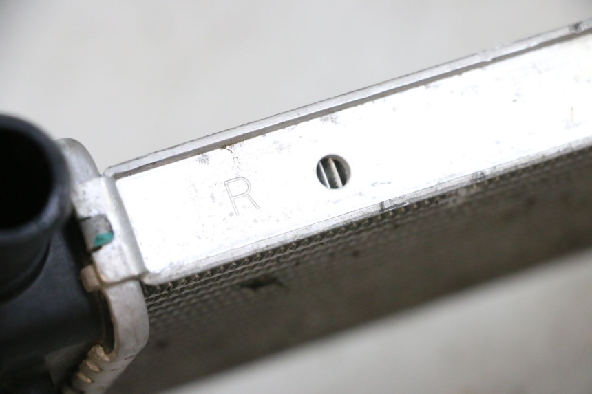 photo de RADIATORE BMW R GS 1250 (2021 - 2024) - Dettaglio del componente