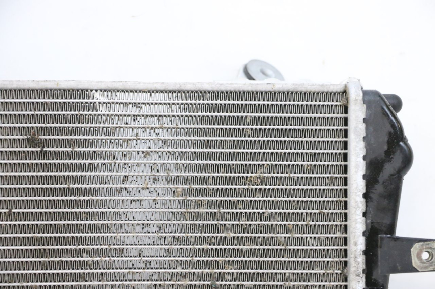 photo de RADIATORE BMW R GS 1250 (2021 - 2024) - Zoom sui componenti