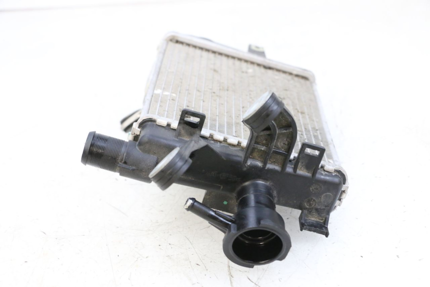 photo de RADIATORE BMW R GS 1250 (2021 - 2024) - Vista d'insieme del prodotto