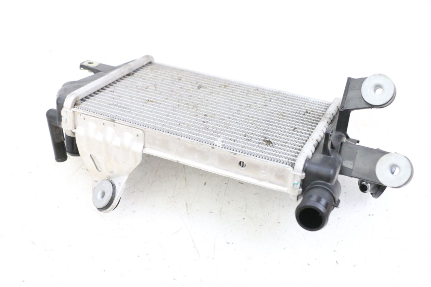 photo de RADIATORE BMW R GS 1250 (2021 - 2024) - Dettagli dei punti di fissaggio