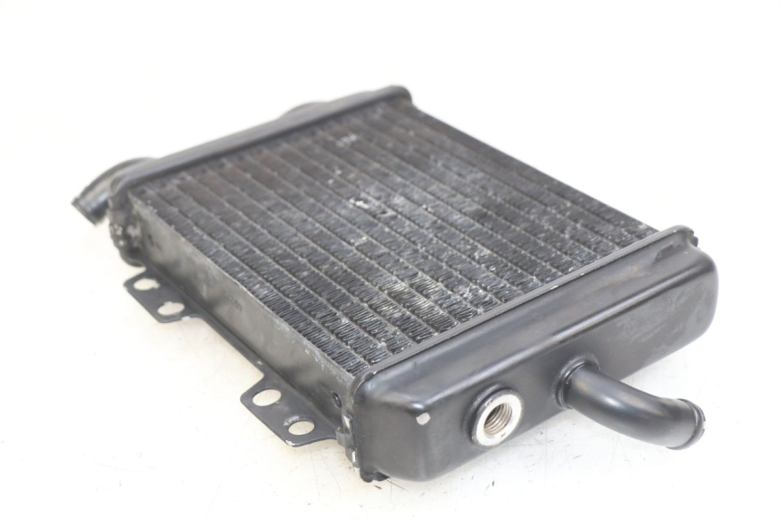 photo de RADIATORE PEUGEOT ELYSEO 125 (1999 - 2004) - Zoom sullo stato d'uso