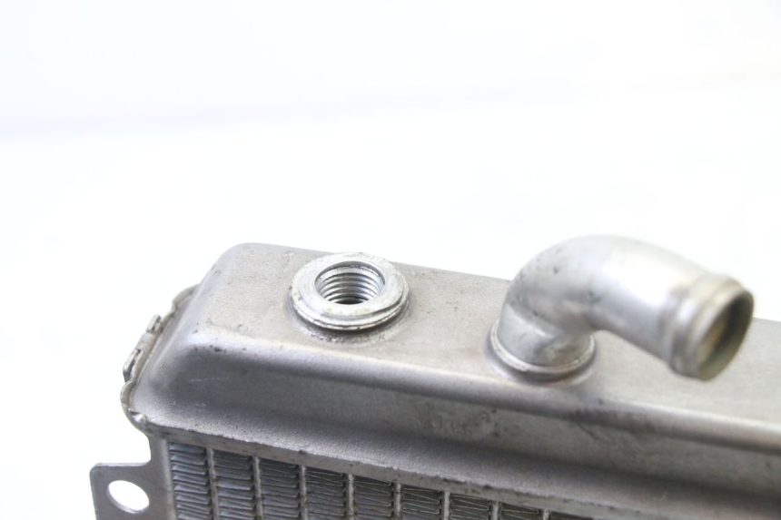 photo de RADIATORE PEUGEOT ELYSEO 125 (1999 - 2004) - Zoom sullo stato d'uso