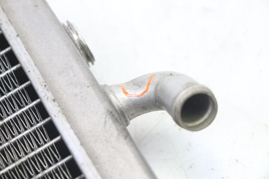 photo de RADIATORE PEUGEOT ELYSEO 125 (1999 - 2004) - Altra angolazione