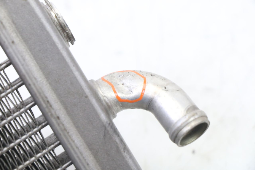 photo de RADIATORE PEUGEOT ELYSEO 125 (1999 - 2004) - Primo piano tecnico