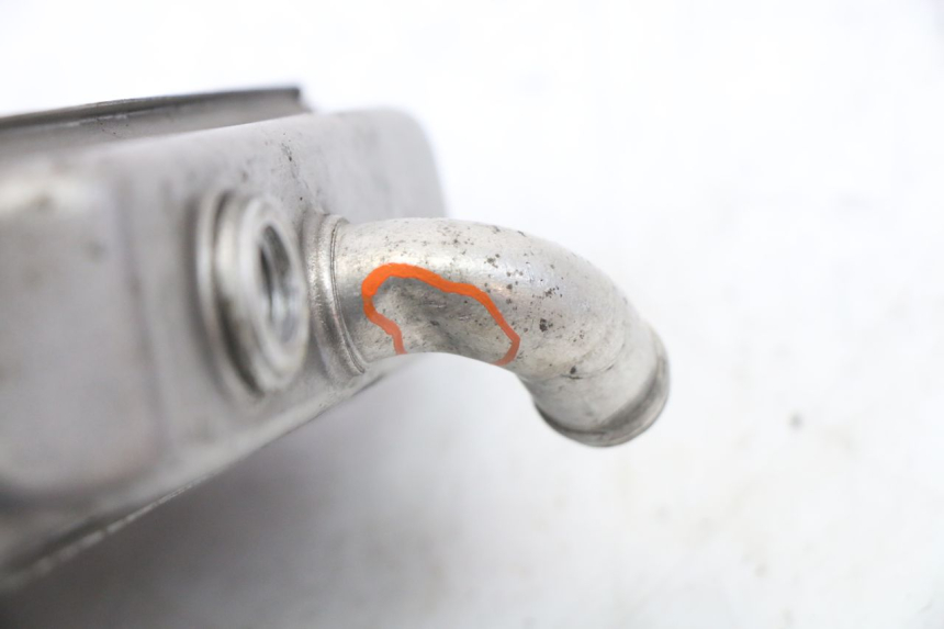 photo de RADIATORE PEUGEOT ELYSEO 125 (1999 - 2004) - Vista d'insieme del prodotto