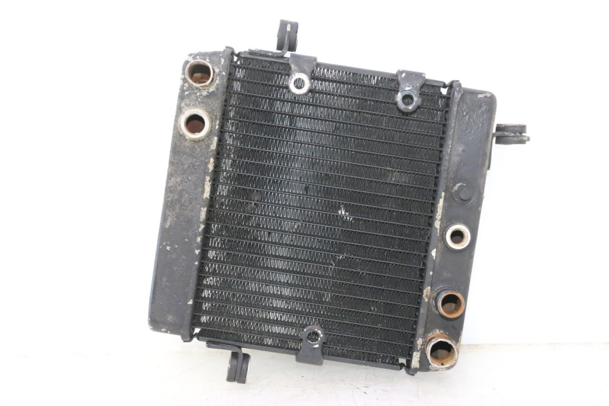 photo de RADIATORE HONDA FES PANTHEON 2T 125 (1998 - 2002) - Vista principale