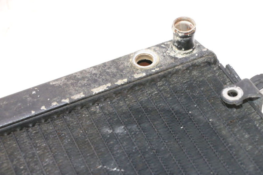 photo de RADIATORE HONDA FES PANTHEON 2T 125 (1998 - 2002) - Dettaglio del componente