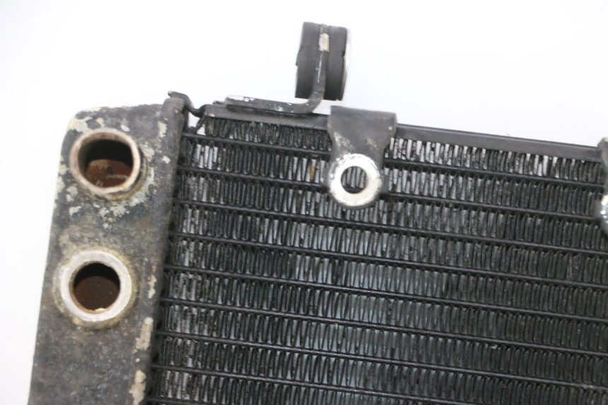 photo de RADIATORE HONDA FES PANTHEON 2T 125 (1998 - 2002) - Altra vista dell'articolo