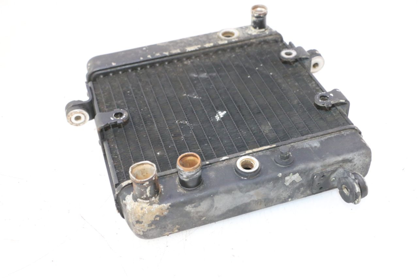 photo de RADIATORE HONDA FES PANTHEON 2T 125 (1998 - 2002) - Altra angolazione