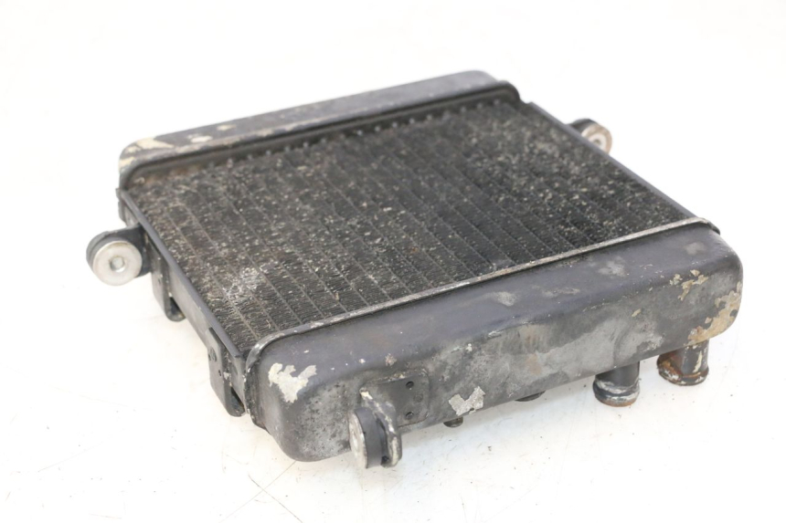 photo de RADIATORE HONDA FES PANTHEON 2T 125 (1998 - 2002) - Dettagli dei punti di fissaggio