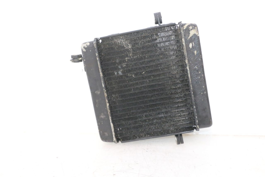 photo de RADIATORE HONDA FES PANTHEON 2T 125 (1998 - 2002) - Stato della superficie e materiale