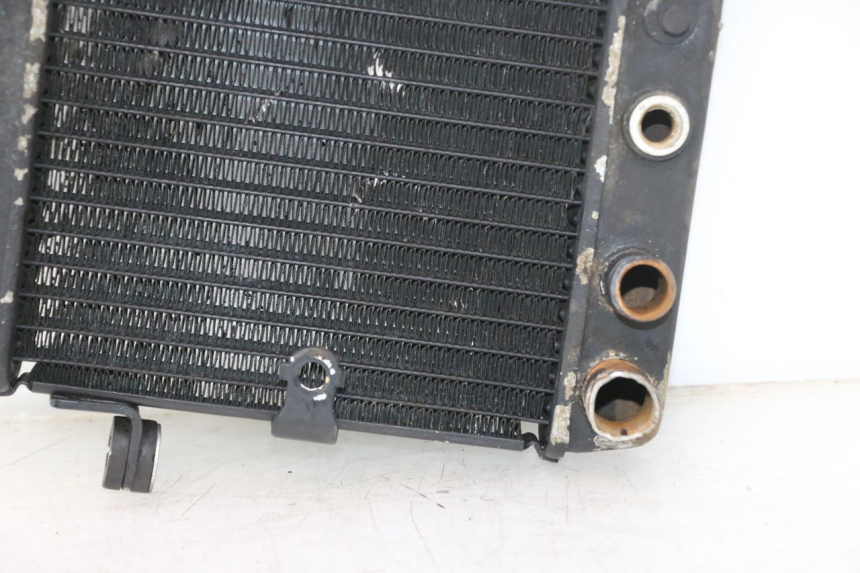 photo de RADIATORE HONDA FES PANTHEON 2T 125 (1998 - 2002) - Ricambio usato controllato