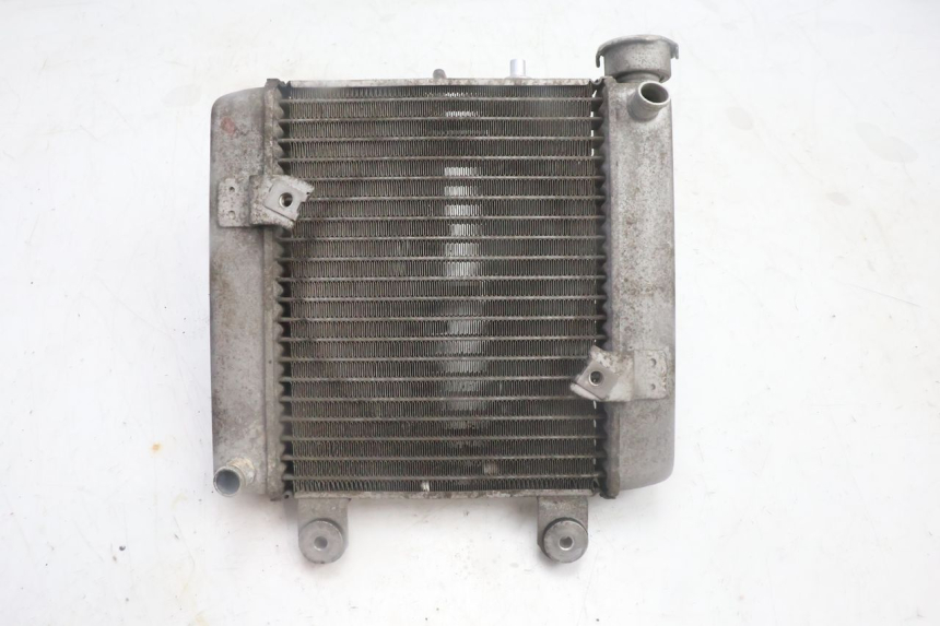 photo de RADIATORE HONDA FES PANTHEON 125 (2003 - 2007) - Zoom sullo stato d'uso