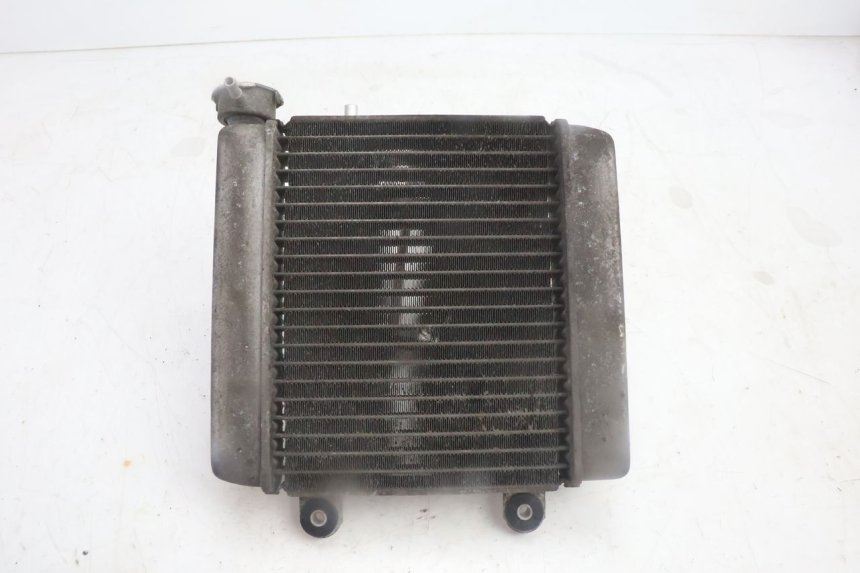 photo de RADIATORE HONDA FES PANTHEON 125 (2003 - 2007) - Altra angolazione