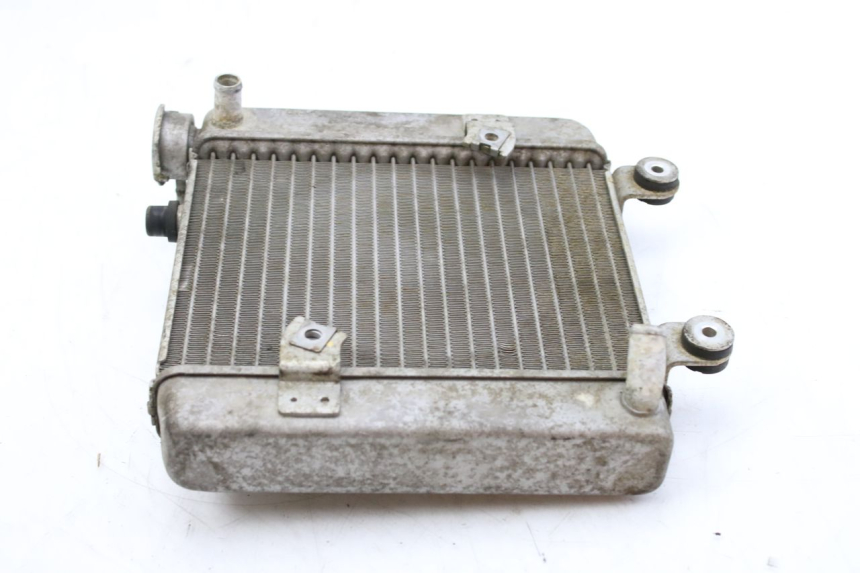photo de RADIATORE HONDA FES S-WING SWING ABS 125 (2007 - 2015) - Zoom sullo stato d'uso