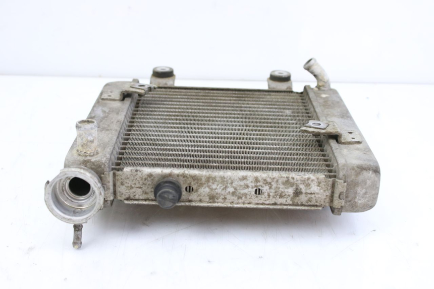 photo de RADIATORE HONDA FES S-WING SWING ABS 125 (2007 - 2015) - Primo piano tecnico