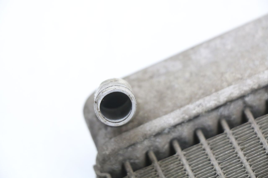 photo de RADIATORE HONDA FES S-WING SWING ABS 125 (2007 - 2015) - Primo piano tecnico