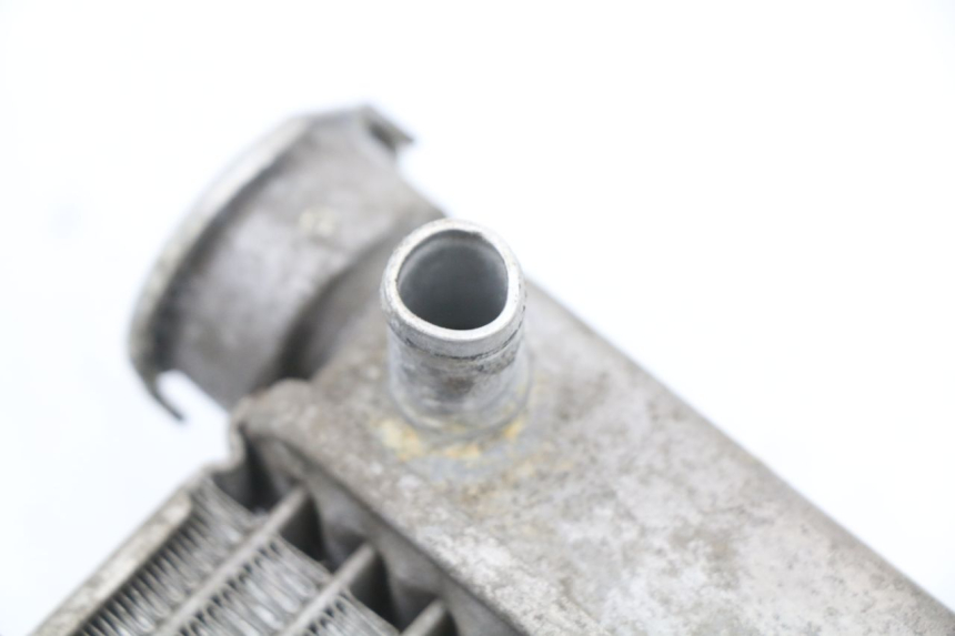 photo de RADIATORE HONDA FES S-WING SWING ABS 125 (2007 - 2015) - Vista d'insieme del prodotto