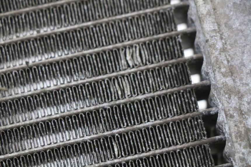 photo de RADIATORE HONDA FES S-WING SWING ABS 125 (2007 - 2015) - Ricambio usato controllato