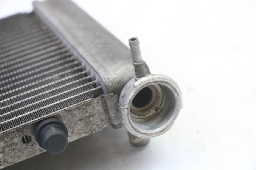 photo de RADIATORE HONDA FES S-WING SWING ABS 125 (2007 - 2015) - Zoom sullo stato d'uso