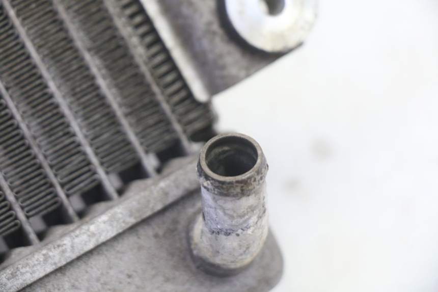 photo de RADIATORE HONDA FES S-WING SWING ABS 125 (2007 - 2015) - Vista d'insieme del prodotto