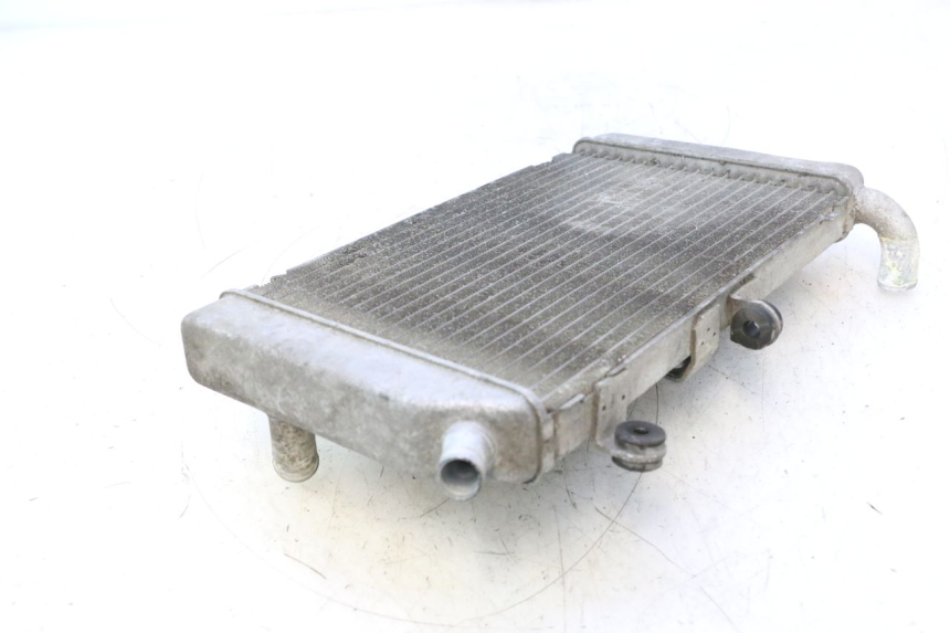photo de RADIATORE HONDA FJS SILVER WING SILVERWING 400 (2005 - 2008) - Zoom sui componenti