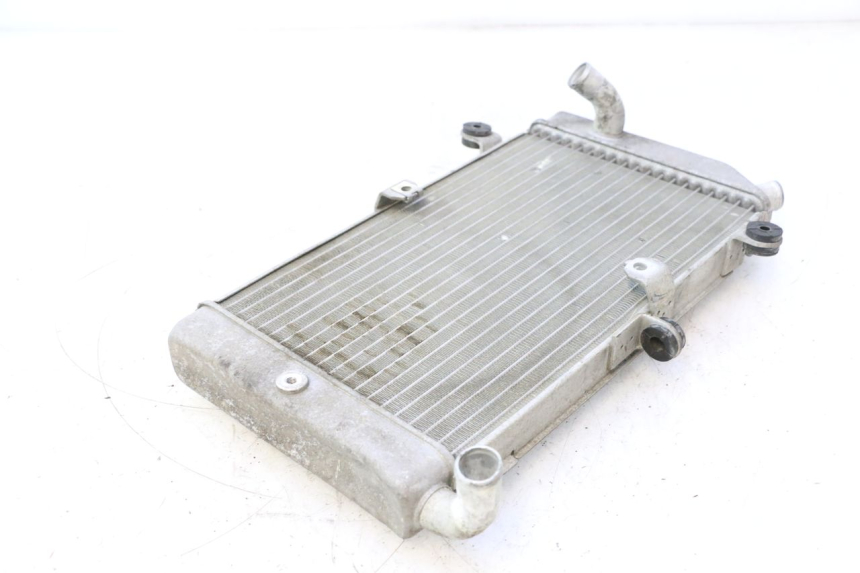 photo de RADIATORE HONDA FJS SILVER WING SILVERWING 400 (2005 - 2008) - Dettagli dei punti di fissaggio