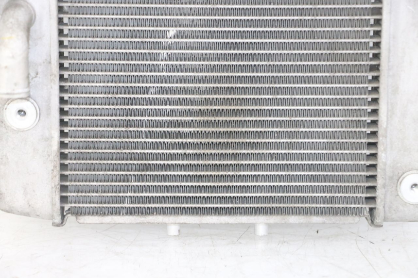 photo de RADIATORE HONDA FORZA ABS 300 (2013 - 2017) - Caratteristiche distintive