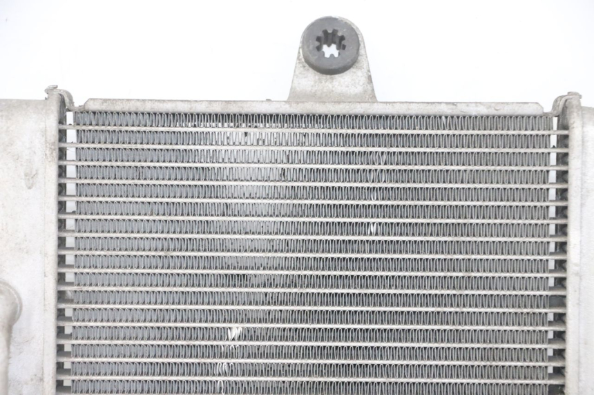 photo de RADIATORE HONDA FORZA ABS 300 (2013 - 2017) - Zoom sui componenti