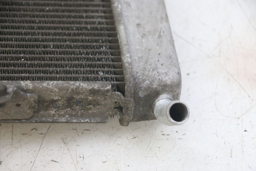 photo de RADIATORE HONDA FORZA ABS 300 (2013 - 2017) - Zoom sullo stato d'uso