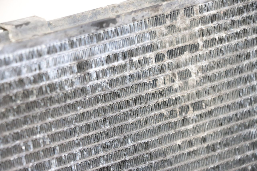 photo de RADIATORE YAMAHA FZ6 FAZER S2 600 (2007 - 2011) - Zoom sullo stato d'uso