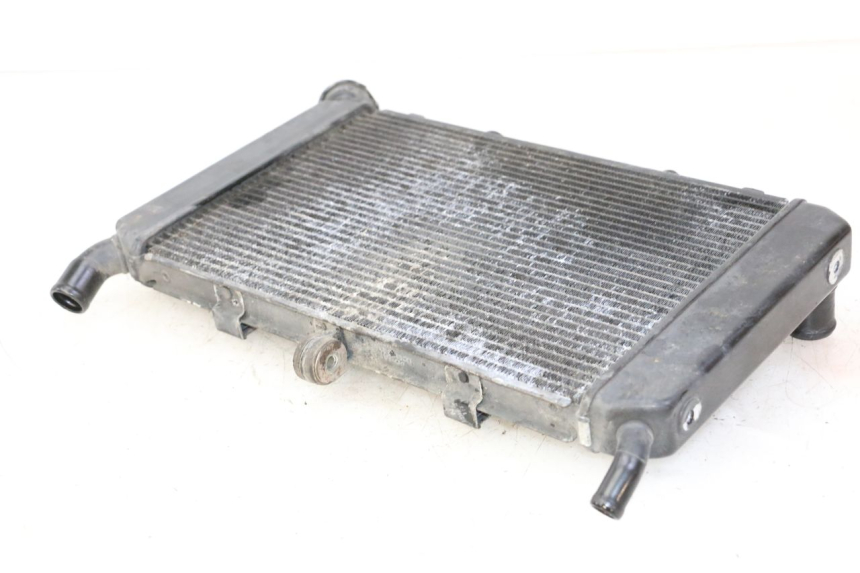 photo de RADIATORE YAMAHA FZ6 FAZER S2 600 (2007 - 2011) - Primo piano tecnico