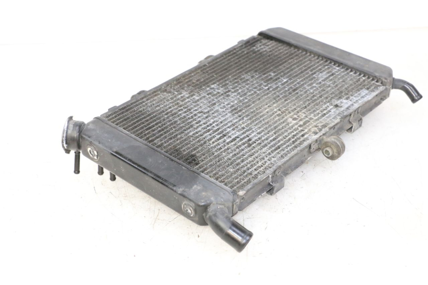 photo de RADIATORE YAMAHA FZ6 FAZER S2 600 (2007 - 2011) - Vista d'insieme del prodotto