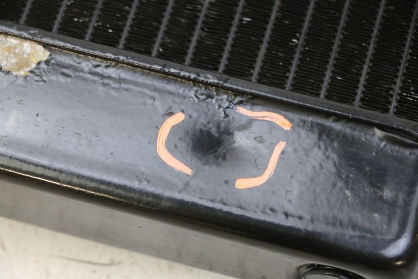 photo de RADIATORE YAMAHA FZ6 N FAZER 600 (2004 - 2006) - Primo piano tecnico