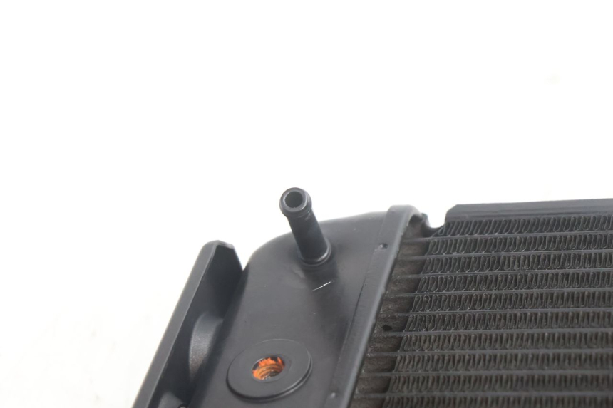 photo de RADIATORE YAMAHA FZ8 800 (2010 - 2016) - Altra vista dell'articolo
