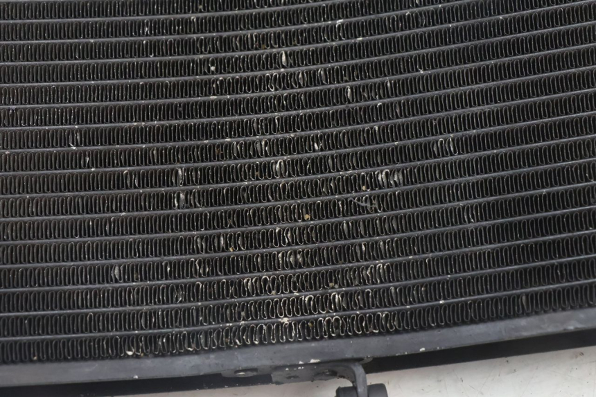 photo de RADIATORE YAMAHA FZ8 800 (2010 - 2016) - Altra angolazione