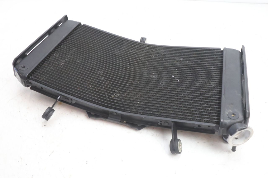photo de RADIATORE YAMAHA FZ8 800 (2010 - 2016) - Primo piano tecnico