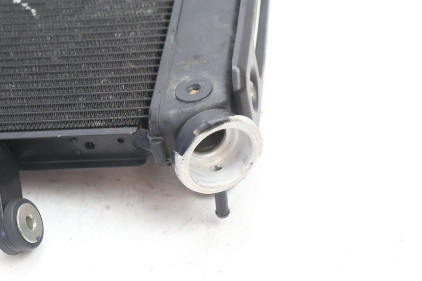 photo de RADIATORE YAMAHA FZ8 800 (2010 - 2016) - Vista d'insieme del prodotto